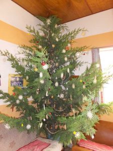 Der geschmückte Weihnachtsbaum in unserem Aufenthaltsraum